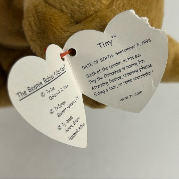 Ty Beanie Baby Tiny the Dog,  Chihuahua New MWMTs 7" 16cm Rare - Picture 9 of 9